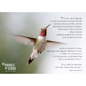 Affiche : La légende du colibri de Légende amérindienne