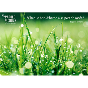 Affiche : 