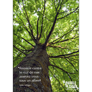 Affiche : 