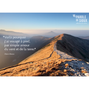 Affiche : 