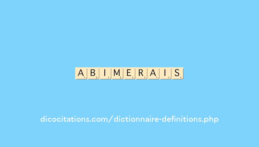 abimerais abimerais