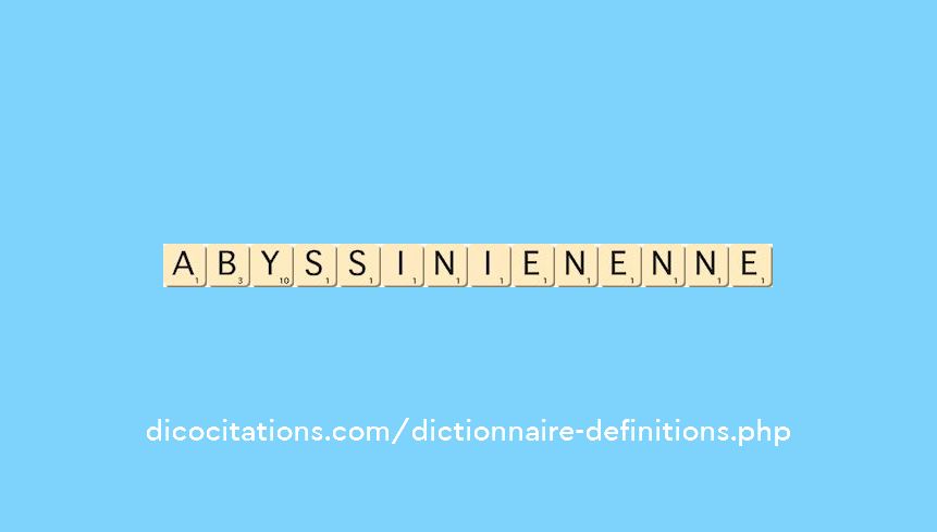 abyssinien--enne