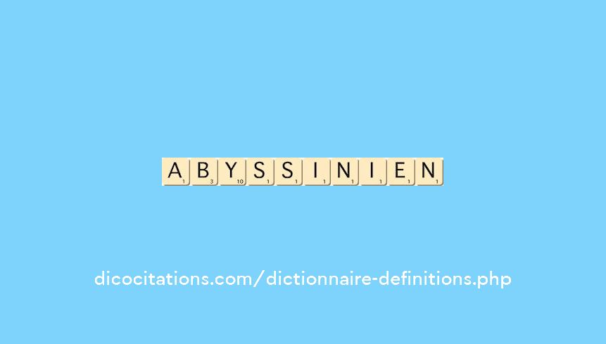 abyssinien abyssinien