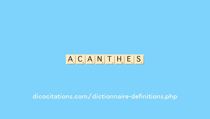 acanthes