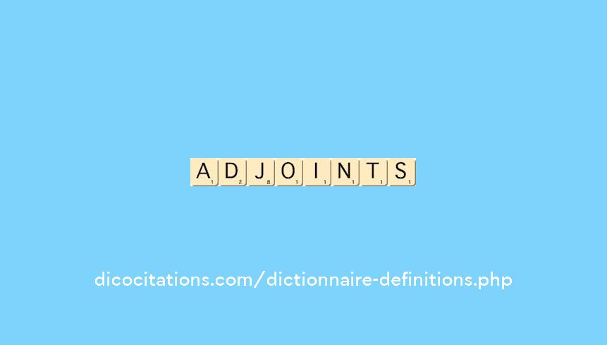 adjoints adjoints