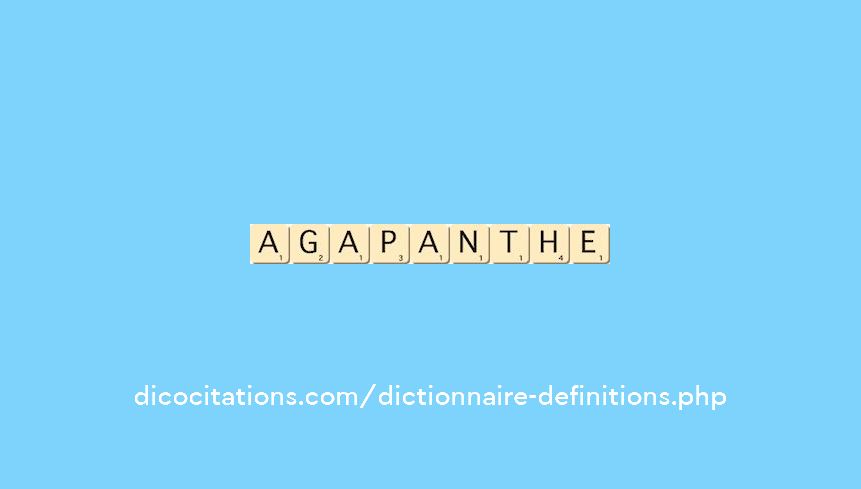 agapanthe agapanthe