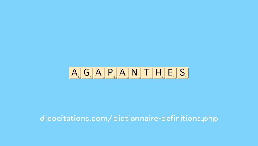 agapanthes agapanthes