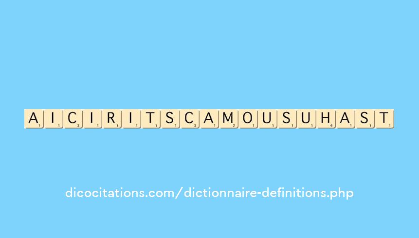aicirits-camou-suhast
