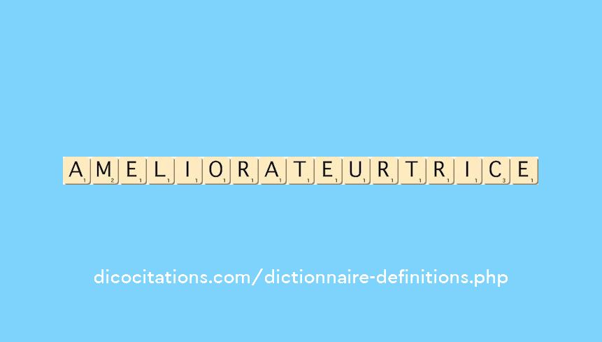 ameliorateur--trice