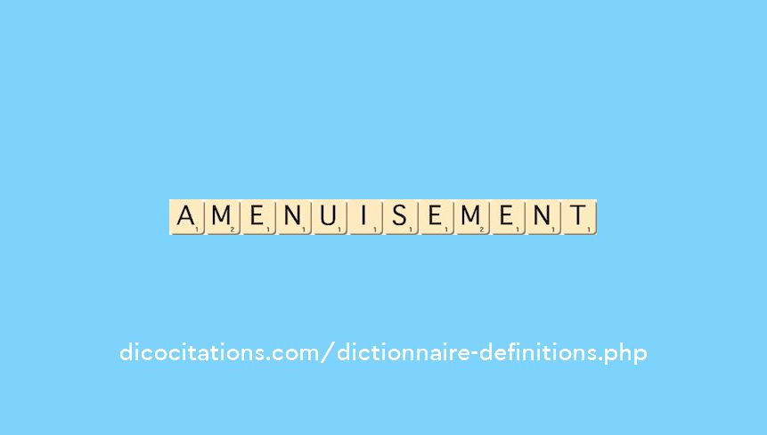 amenuisement amenuisement