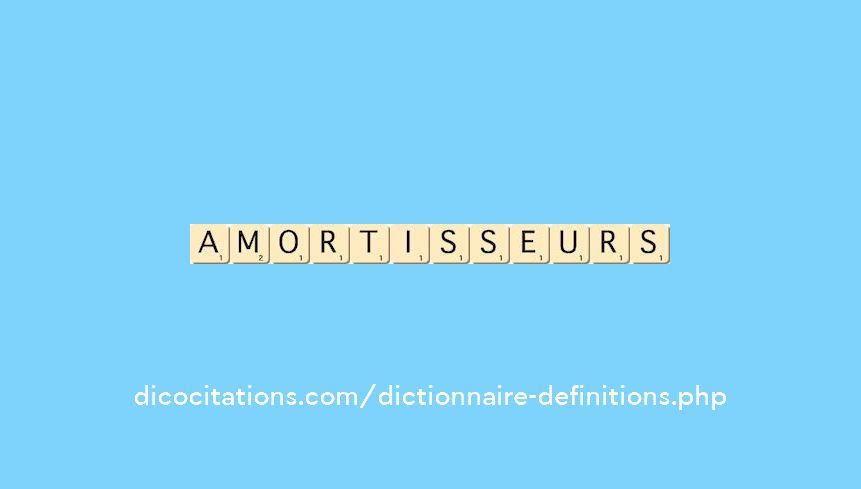 amortisseurs amortisseurs