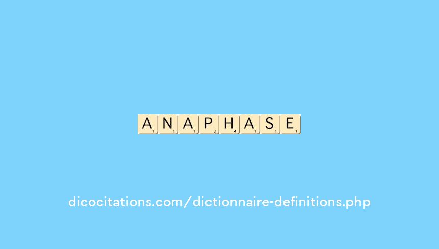 anaphase anaphase