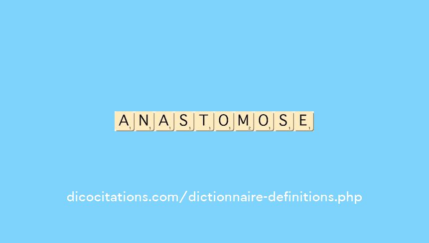 anastomose