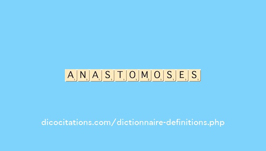 anastomoses