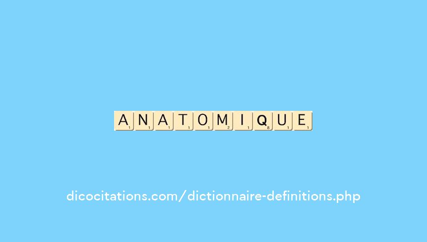 anatomique