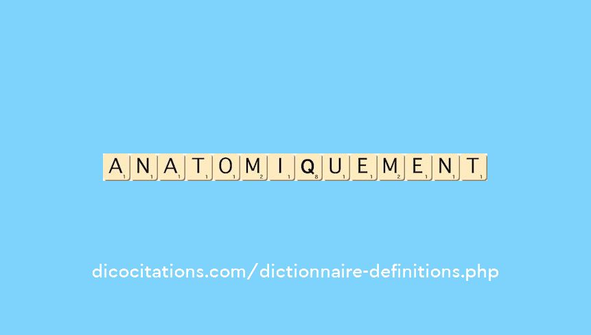 anatomiquement anatomiquement