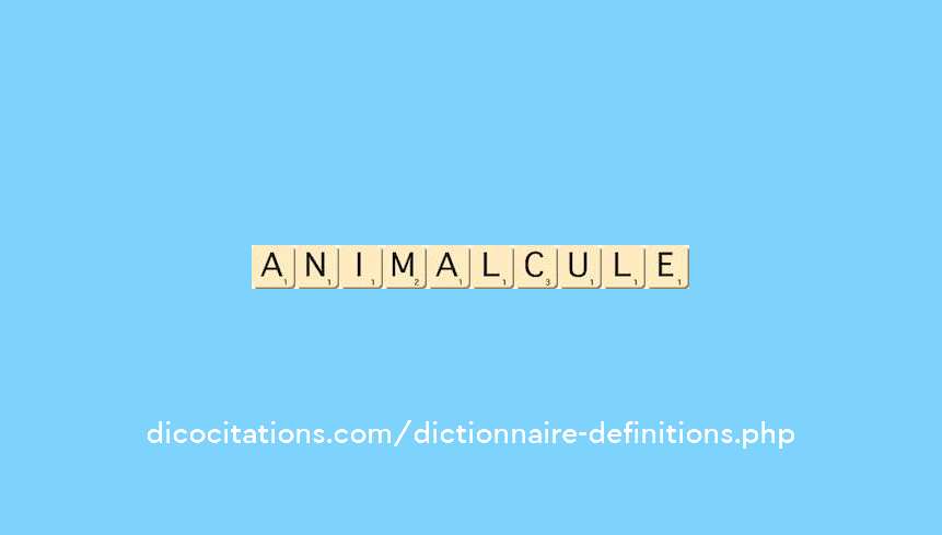 animalcule animalcule