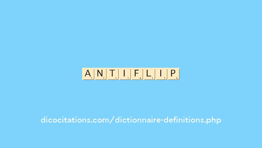 anti-flip anti-flip