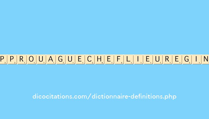 approuague--chef-lieu-regina-