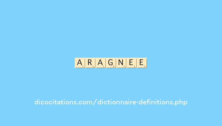 araignee