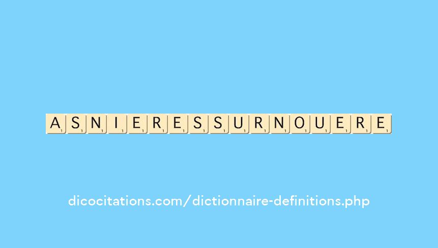 asnieres-sur-nouere