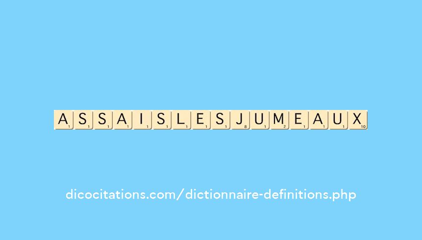 assais-les-jumeaux