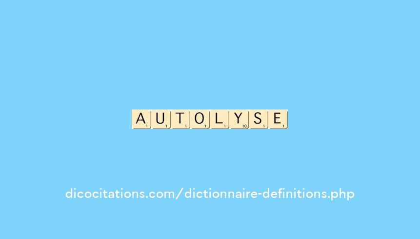 autolyse autolyse