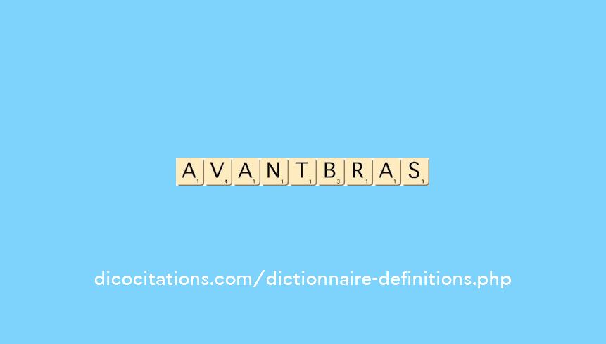 avant-bras avant-bras