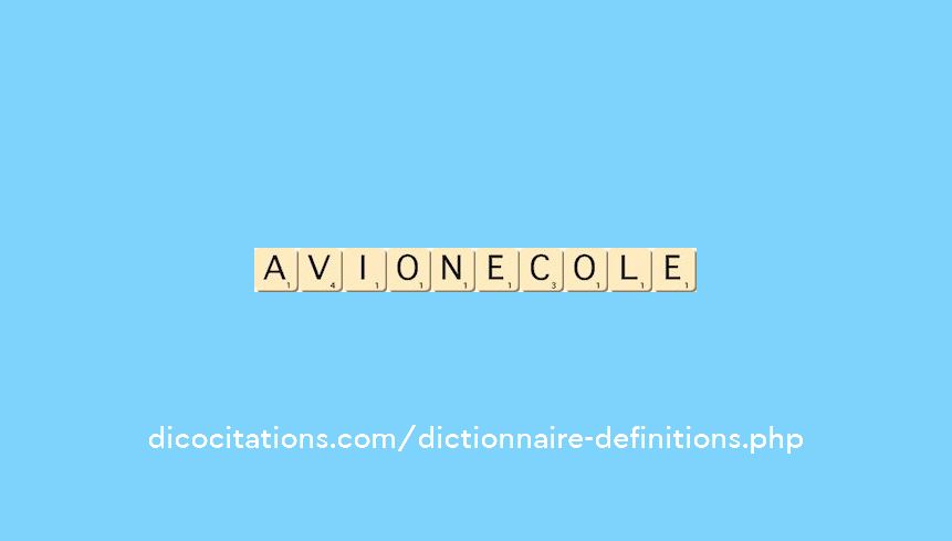 avion-ecole avion-ecole