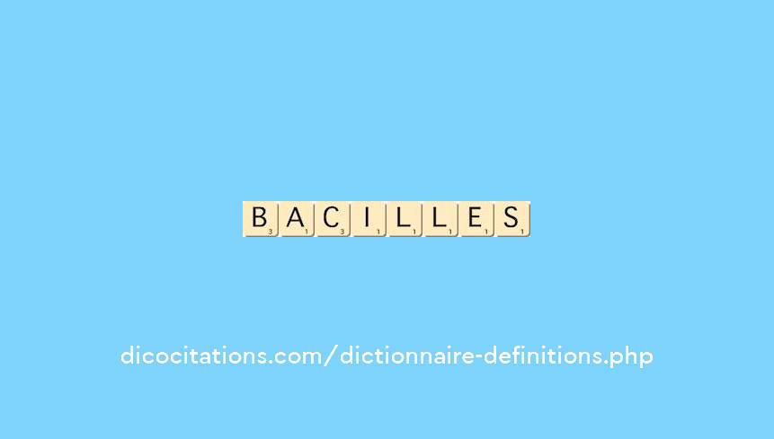 bacilles bacilles