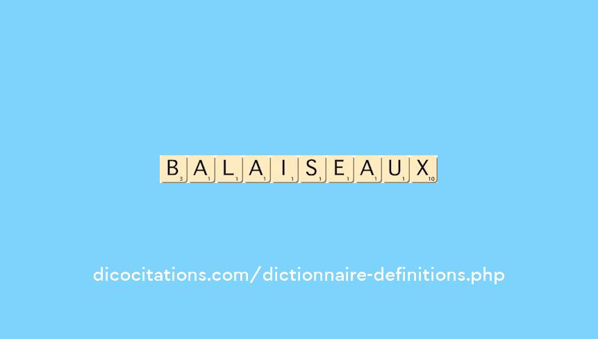 balaiseaux