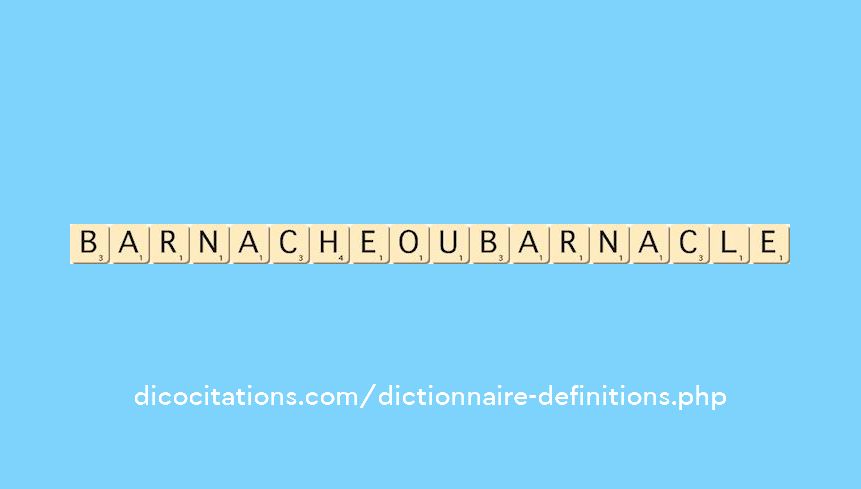 barnache-ou-barnacle
