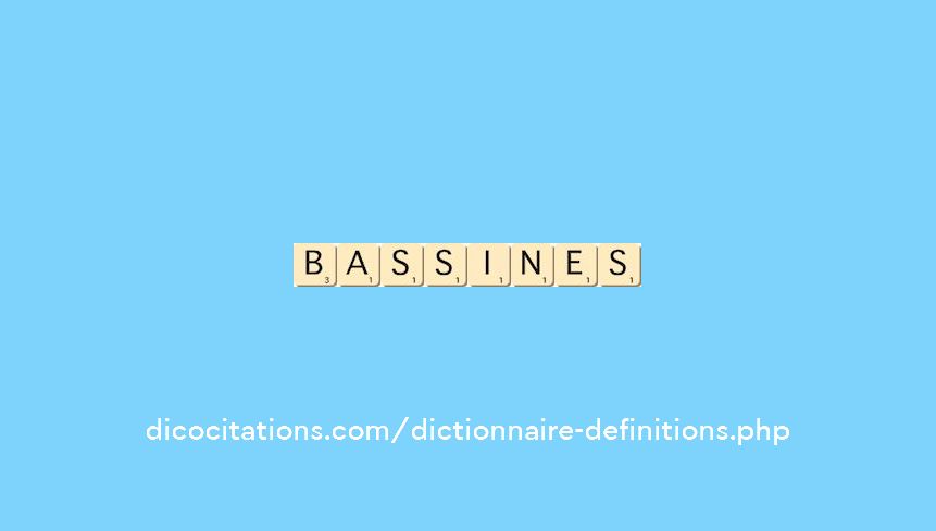 bassines bassines
