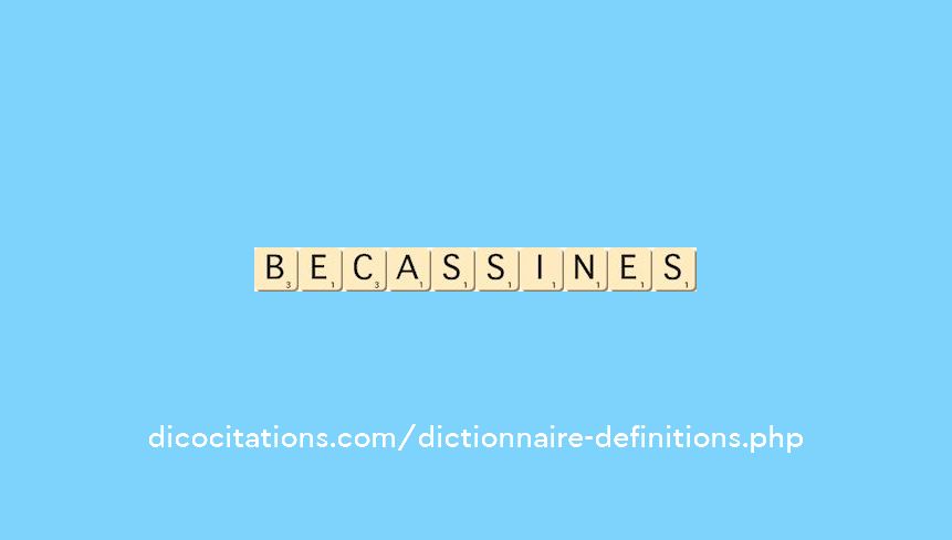 becassines becassines