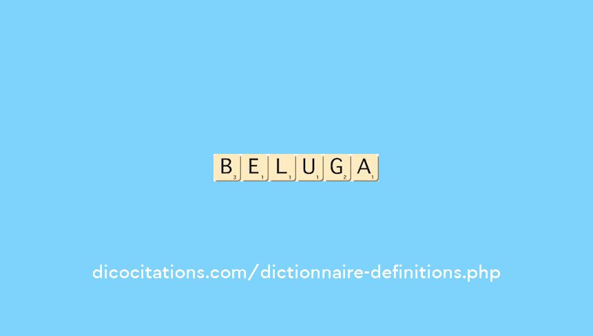 beluga