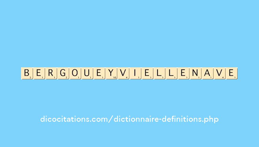 bergouey-viellenave