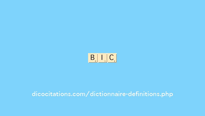 bic bic
