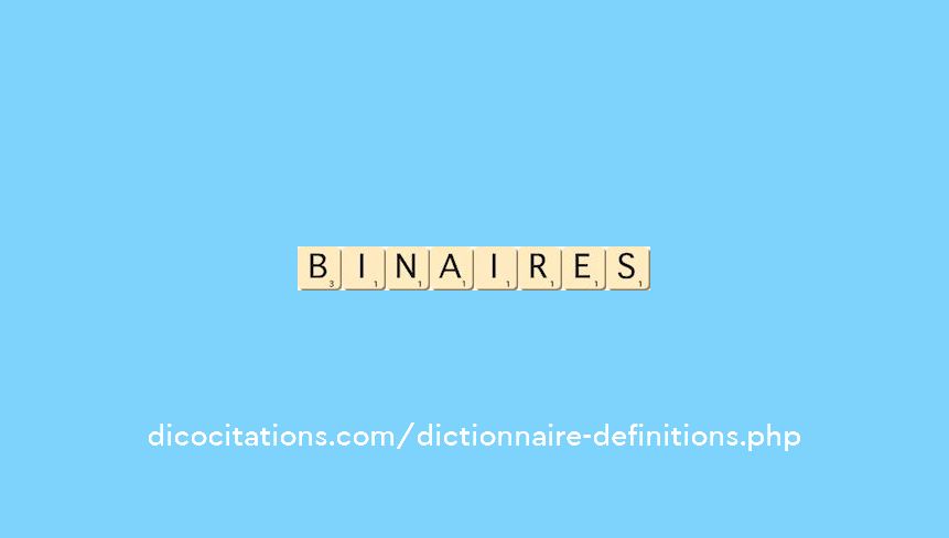 binaires binaires