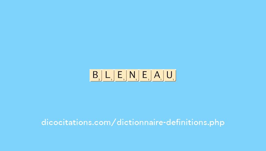 bleneau
