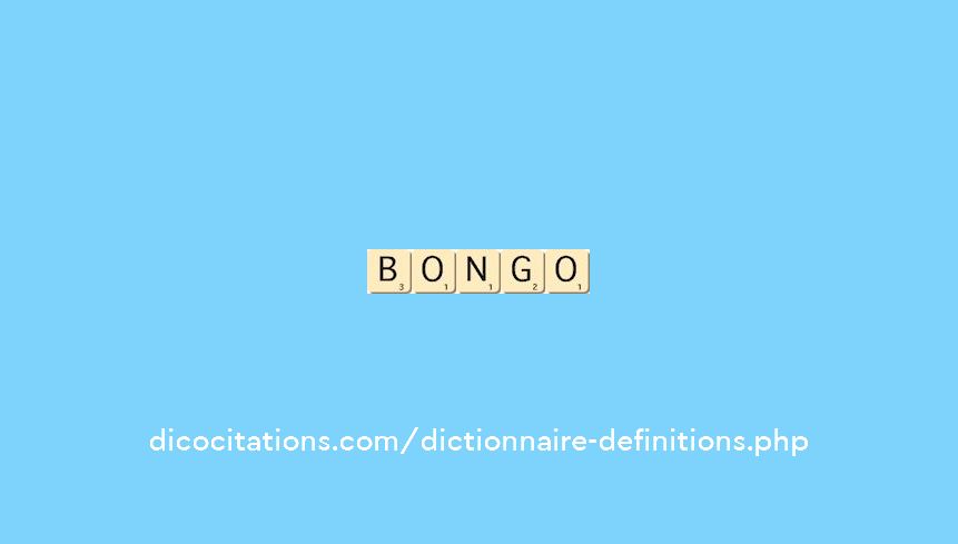 bongo bongo