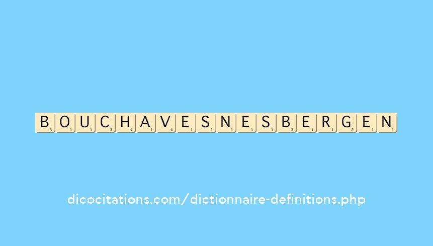 bouchavesnes-bergen