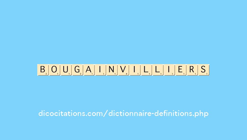 bougainvilliers bougainvilliers