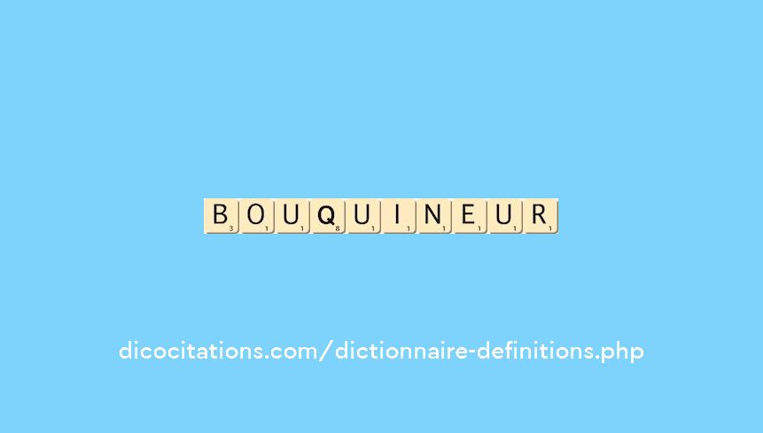 bouquineur bouquineur