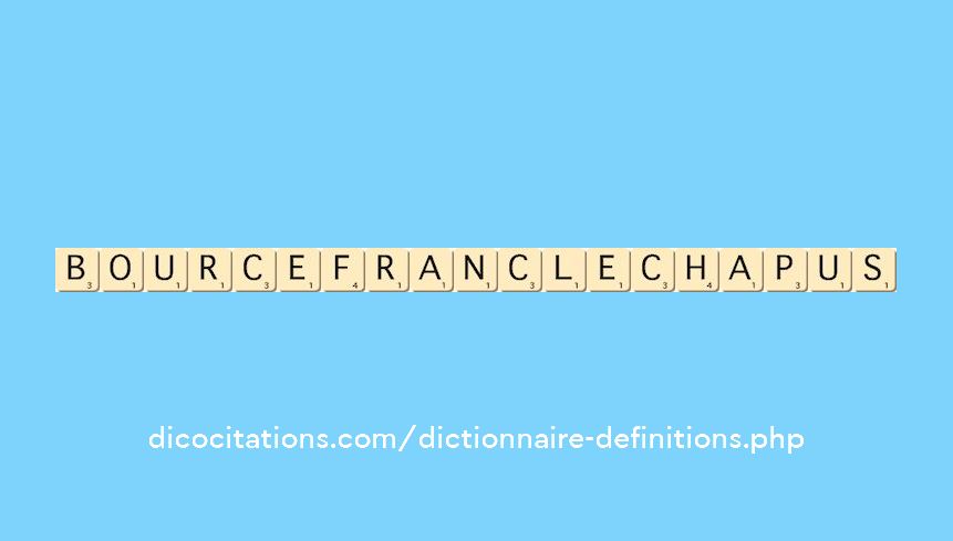 bourcefranc-le-chapus