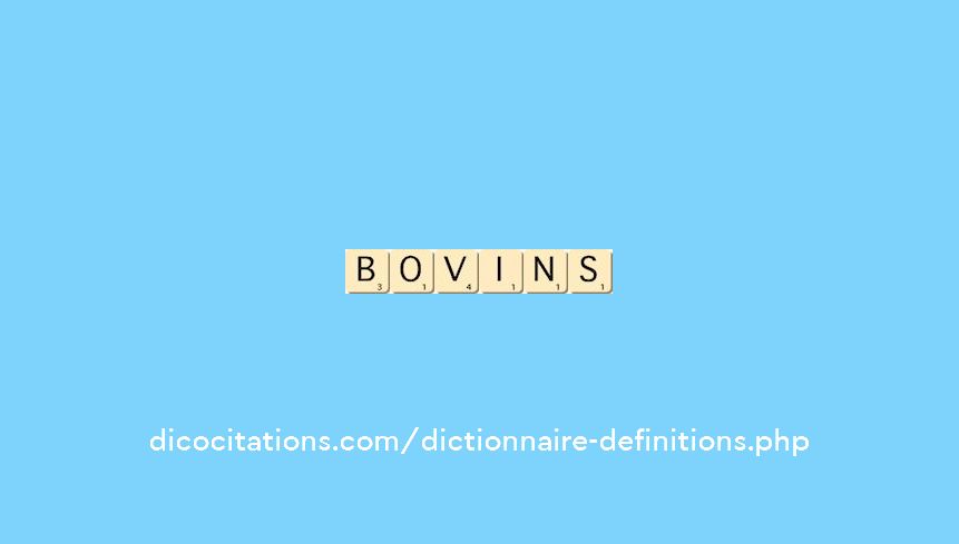 bovins bovins