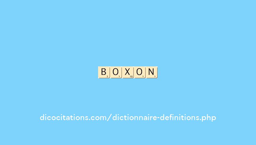 boxon boxon