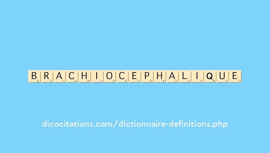 brachiocephalique brachiocephalique