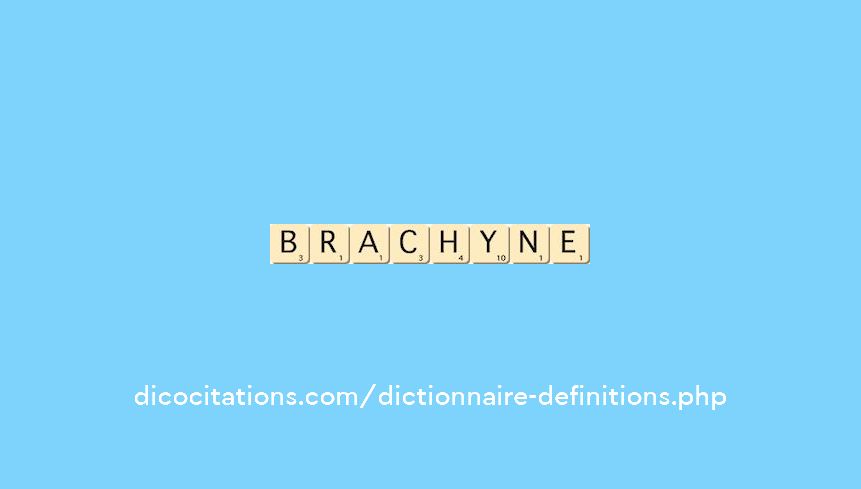 brachyne