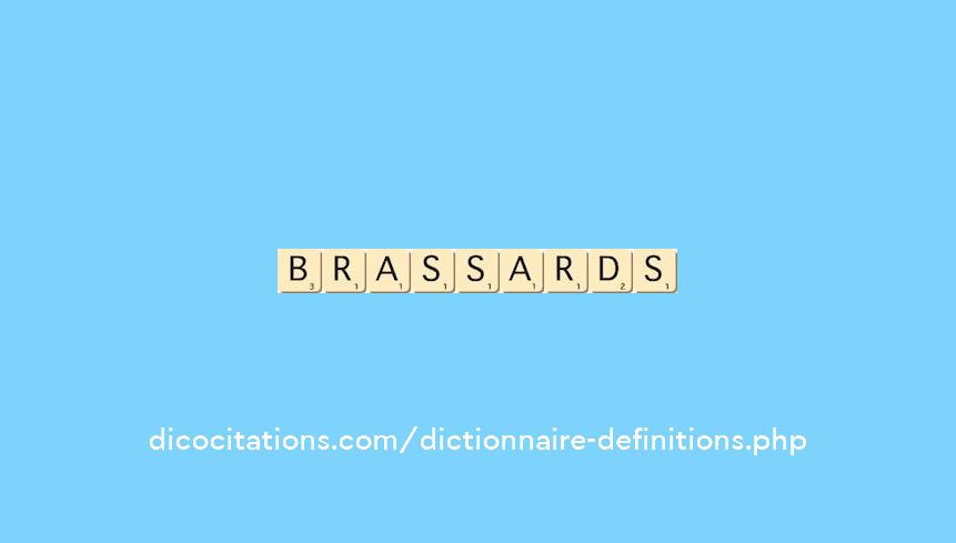 brassards brassards