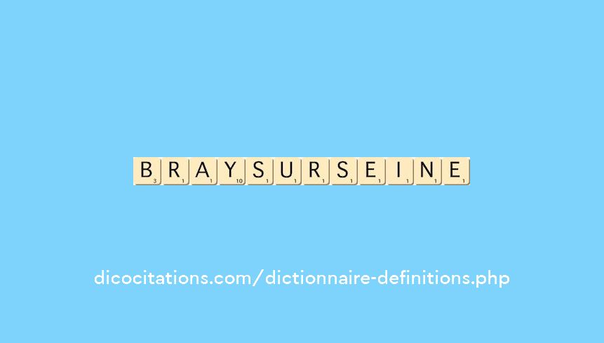 bray-sur-seine